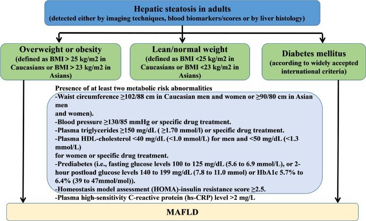 dihexa research and clinical evidence